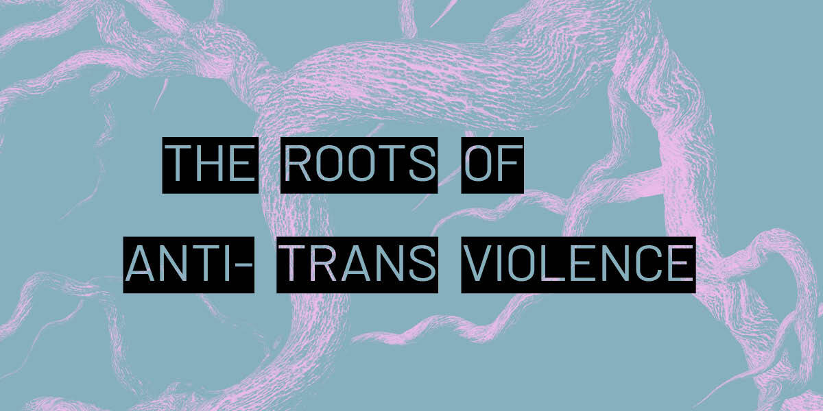Pink tree roots set against a light pink background. White text in black individual word boxes reads "Roots of Anti Trans Violence."